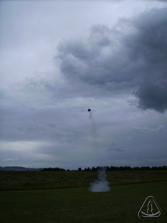 2013 Suche 29062013 Olivera